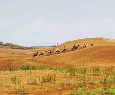 Mongolian desert